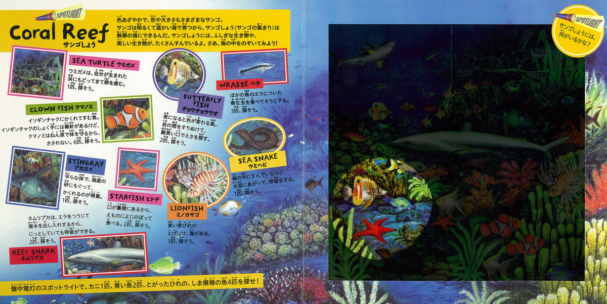 スポットライト・シリーズ｜海の生き物を探せ！ – あそ＊し＊あ